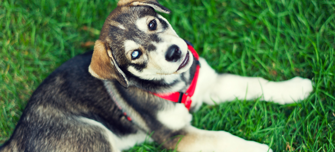 代理价格特惠的网站攻击手段