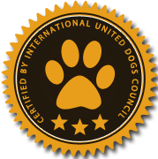 手机版ddos攻击器